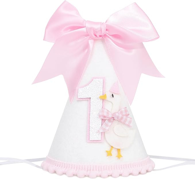 One Silly Goose Birthday Party Hat | Amazon (US)