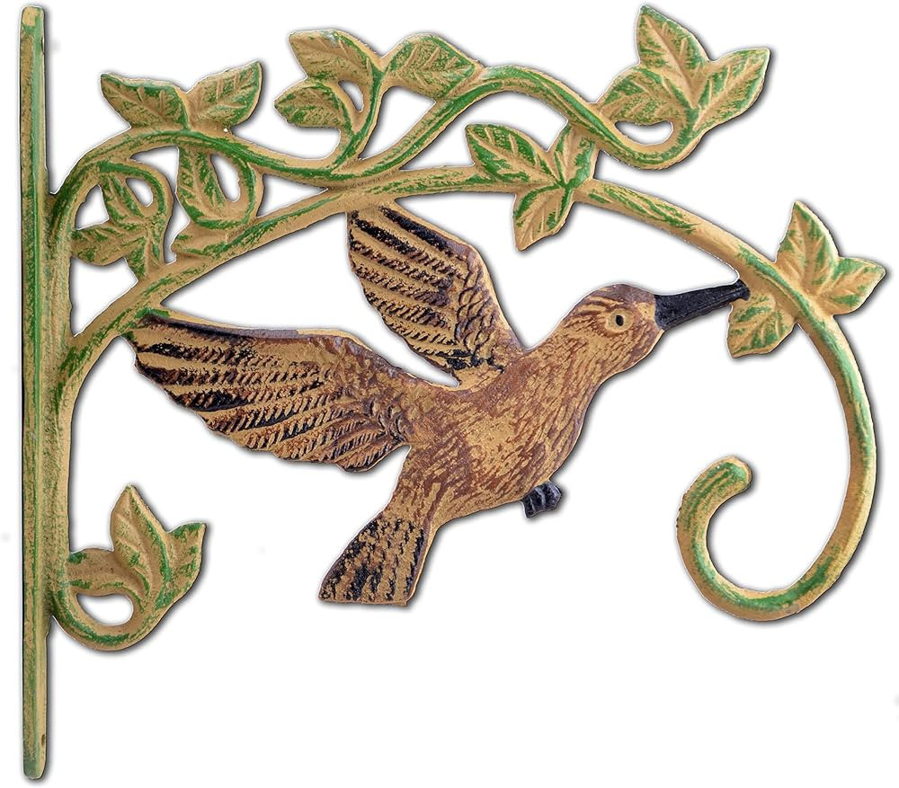 Import Wholesales Cast Iron Plant Hanger Flower Basket Hook Antiqued Brown Flying Hummingbird 11.... | Amazon (US)
