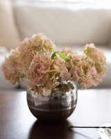 Blush Hydrangea Bundle | Elements by Remedy