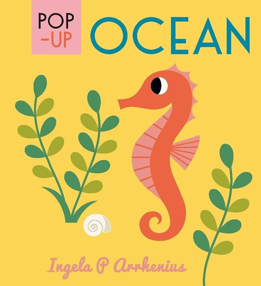 Pop-up Ocean | Amazon (US)