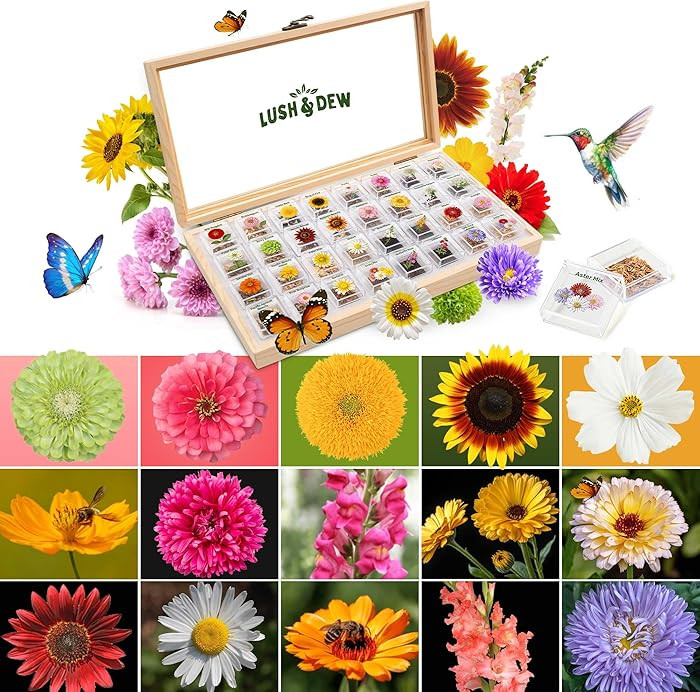 Lush&Dew Cut Flower Seed Bank, Gardening Gifts for Mom Women, 32 Varieties Non-GMO Annual & Peren... | Amazon (US)