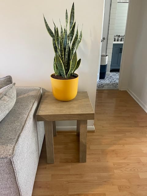 Plank+Beam Classic Rectangular Side Table, 25", Slim Side Table for Living Room, Narrow Nightstan... | Amazon (US)