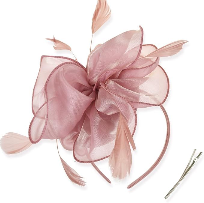 DRESHOW Fascinators Hat Tea Party Headwear Ribbons Feathers on a Headband and a Clip for Girls an... | Amazon (US)