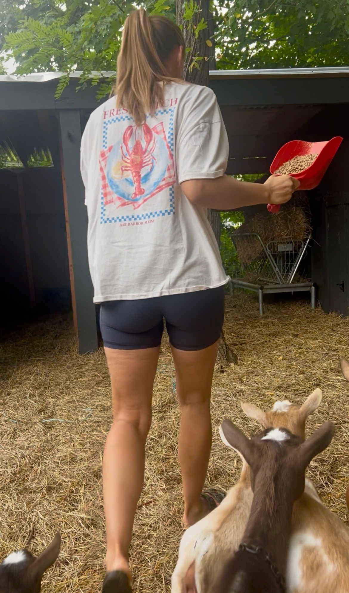 Perfect tee for summer 🦞

#LTKSeasonal