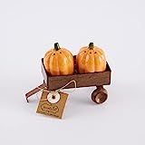 Mud Pie PUMPKIN SALT AND PEPPER, shaker 2 1/4" x 1 3/4" dia | wagon 1 1/2" x 3" x 2" | Amazon (US)