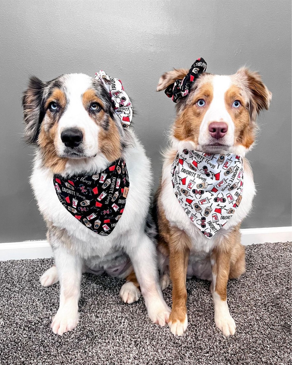 fashionista pups

• Lacie (left) is wearing a large
• Lily (right) is wearing a medium

#LTKU #LTKfamily #LTKFind