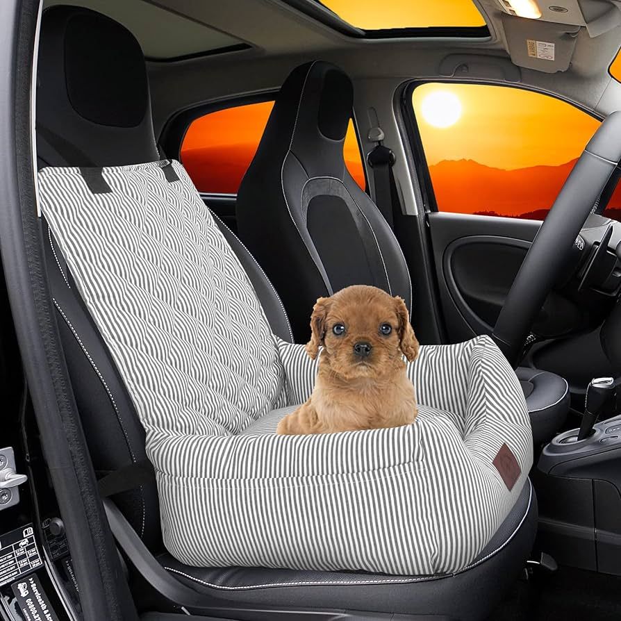 FAREYY Dog Car Seat for Small Dogs, Pet Booster Seat Fully Detachable Washable Dog Seat for Car T... | Amazon (US)