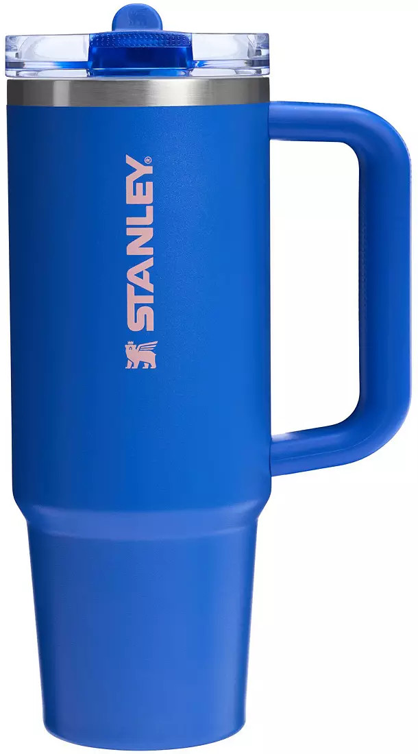 Stanley 30 oz. Quencher ProTour Flip Straw Tumbler - Oasis Collection | DICK'S Sporting Goods