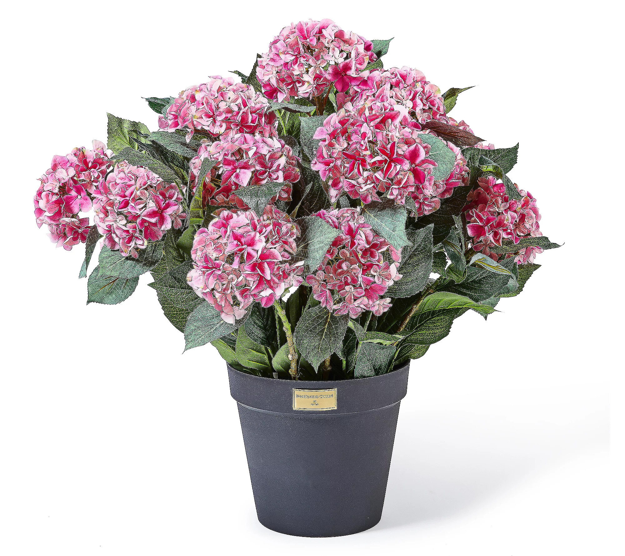 MacKenzie-Childs Pink Hydrangea Urn Filler | QVC