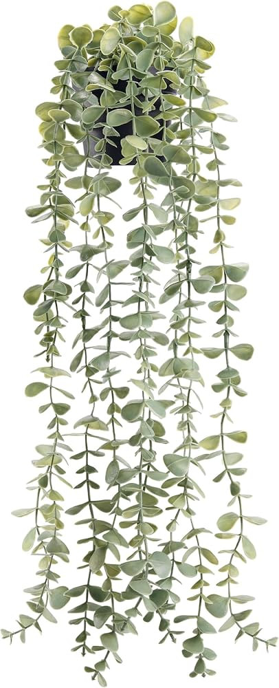 Der Rose 1Pcs Fake Plants Hanging Artificial Potted Faux Eucalyptus Plants for Vintage Boho Farmh... | Amazon (US)