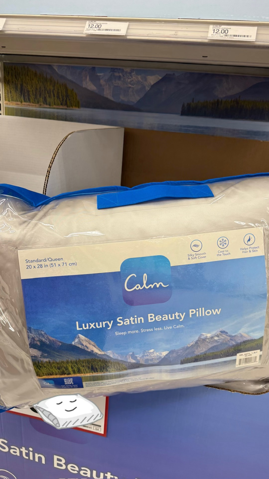 These Calm satin beauty pillows will help you get a more supported restful night’s sleep. 😴 

#sleep #pillow

#LTKdayinmylife #LTKselfcare #LTKHome