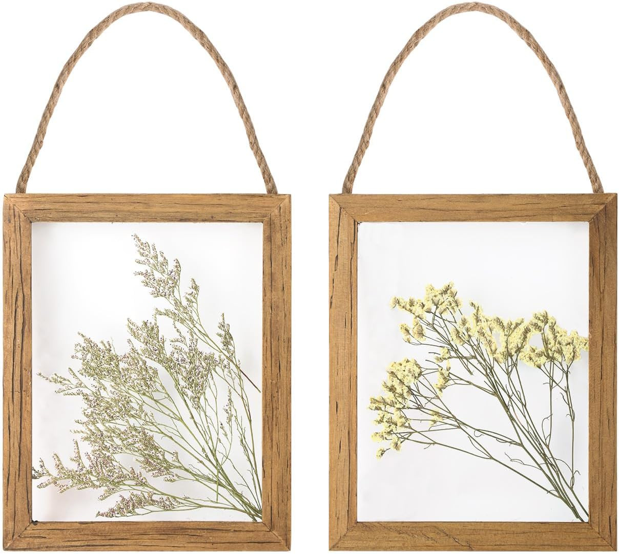 NIKKY HOME Dried Flowers Grass Wall Art Set of 2 Natural Plant Artwork with Clear Glass Display F... | Amazon (US)