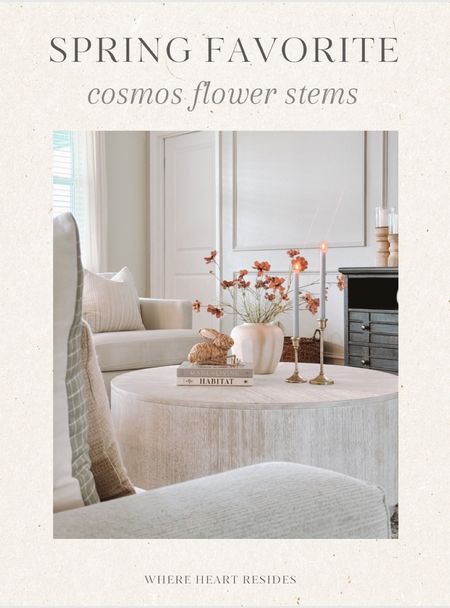 Linking some pretty faux cosmos stems I found online below! The ones pictured are from Hobby Lobby. 🤍

#LTKhome #LTKSeasonal