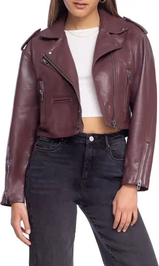 BLANKNYC Faux Leather Crop Moto Jacket | Nordstrom | Nordstrom