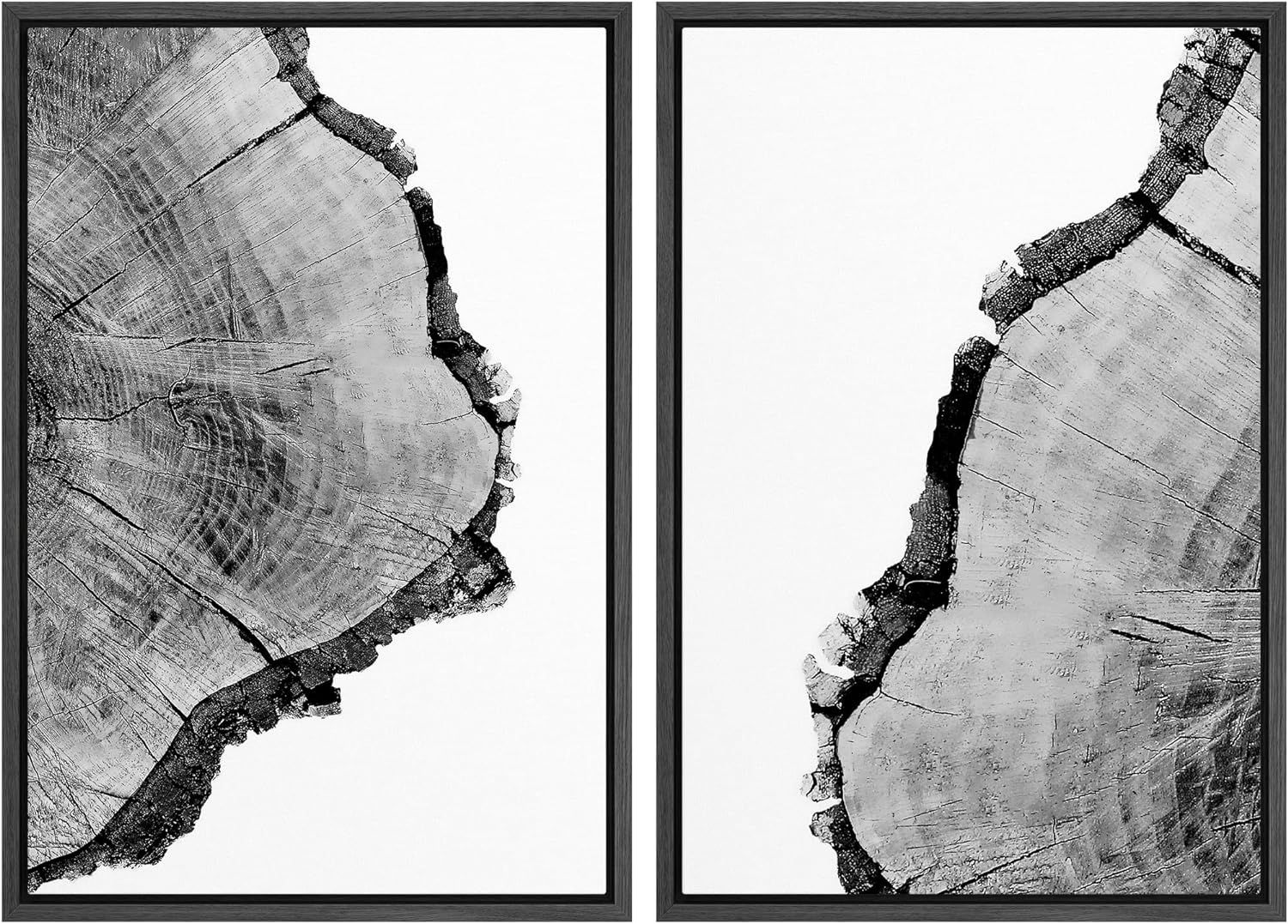 SIGNWIN Canvas Wall Art Black and White Trees Ring Detail Print Nature Wilderness Mixed Media Far... | Amazon (US)