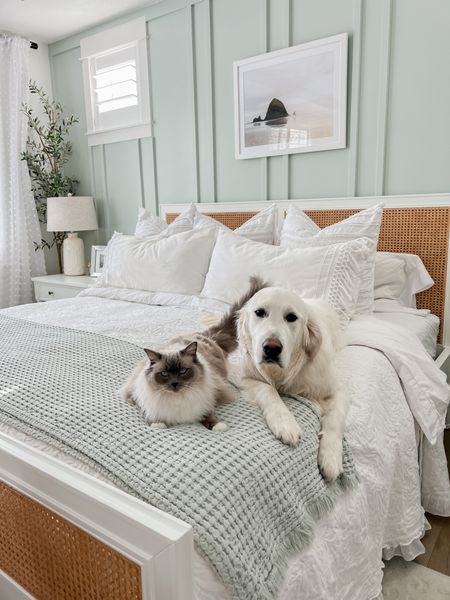 I LOVE our bedding which is why I’ve kept the same bedding for the last two years. Everything is great quality and is so comfy. If you’re looking for coastal style bedding, check out these pieces! 

#LTKunder100 #LTKstyletip #LTKhome