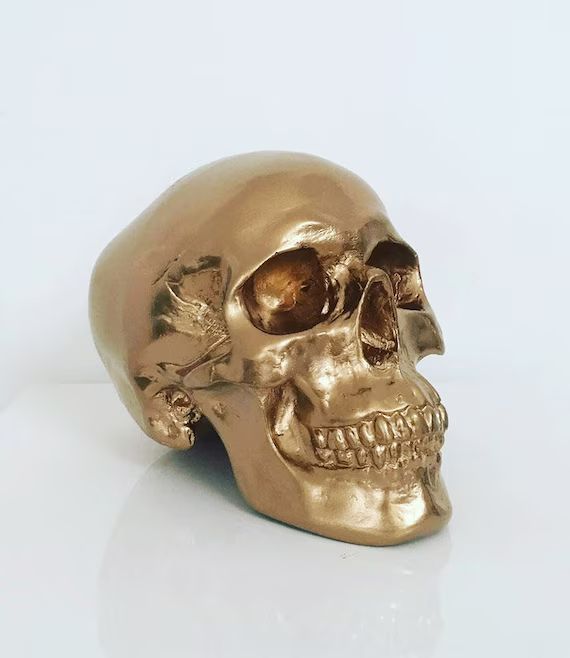 Gold Skull // Skull Decor | Etsy | Etsy (US)