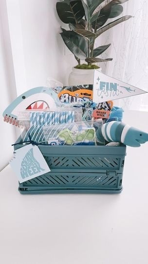 Shark Week basket of fun - airs July 20th-26th! Grab some shark goodies for a FINtastic week!

#LTKKids #LTKSeasonal
