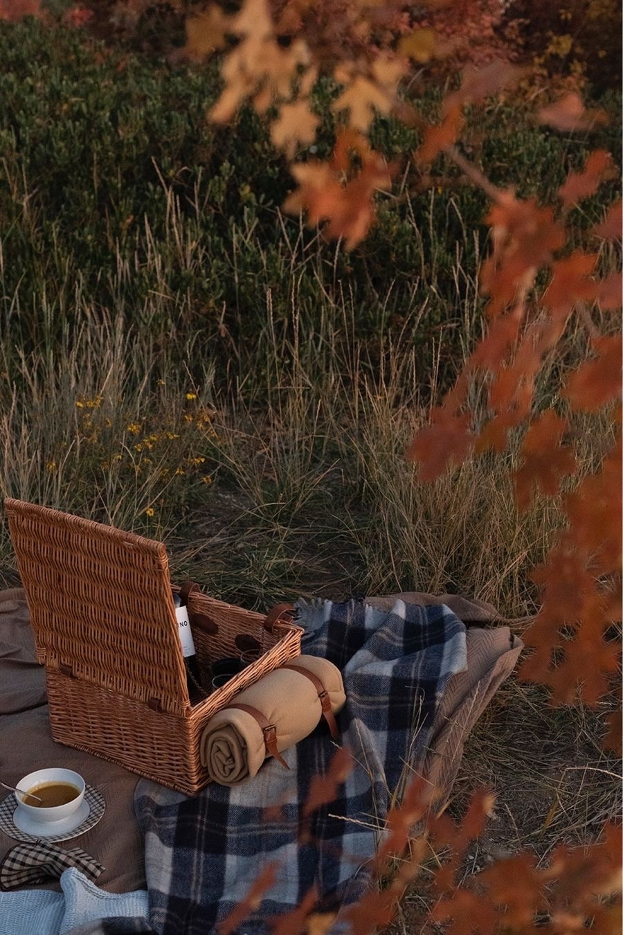 Everything you need for the perfect fall picnic...

#LTKSeasonal #LTKHome