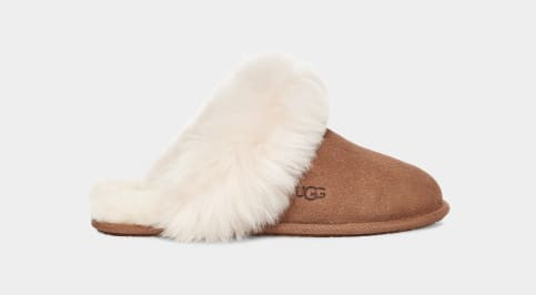 Scuff Sis | UGG (US)