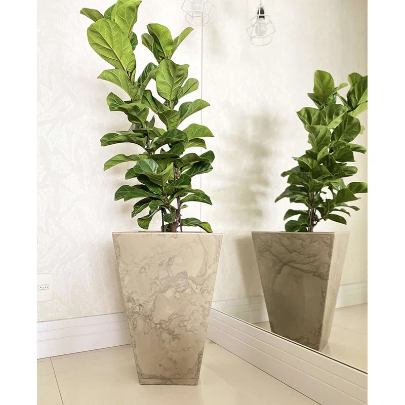 Zurique Pot Planter | Wayfair North America