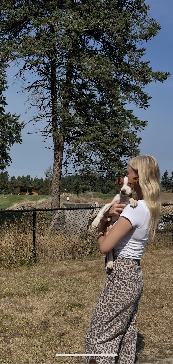 Been obsessed with leopard print lately. Pants are TopShop and sold out but linked out to my fave Amazon finds and tee shirt basics. 

leopard pants outfit, leopard print pants, leopard pants styling, leopard pants casual outfit, leopard pants everyday look, casual leopard pants outfit, how to style leopard pants, neutral top leopard pants, elevated casual outfit, effortless everyday style, casual chic outfit, laid-back fashion, off-duty style, weekend outfit inspo, comfortable casual outfit, amazon fashion finds, amazon basics outfit, amazon basics wardrobe, amazon basics staples 

 #LTKdayinmylife #LTKgrwm #LTKootd
