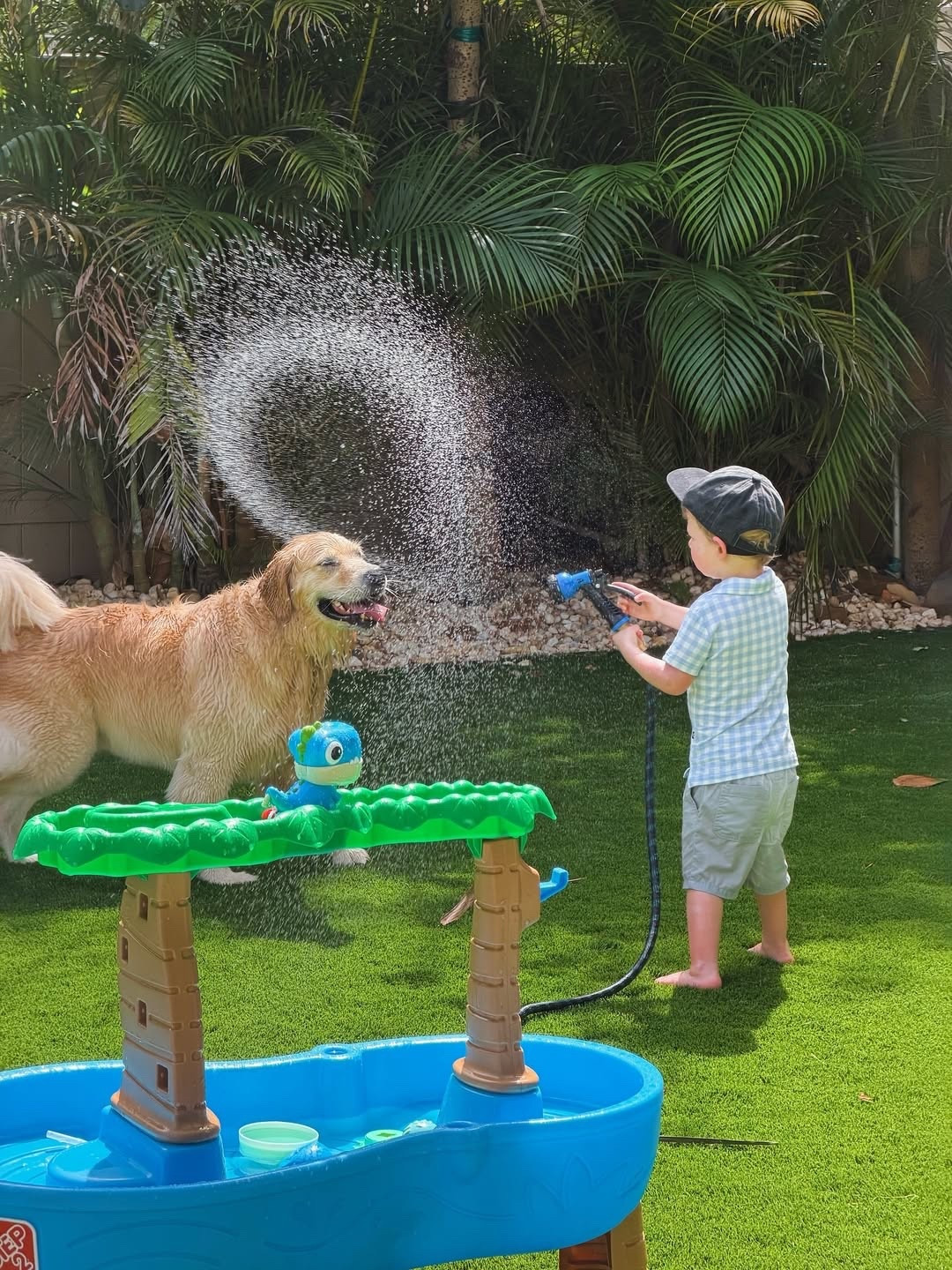 toddler boy 🤝🏻 hose

#LTKmomlife #LTKSeasonal #LTKKids