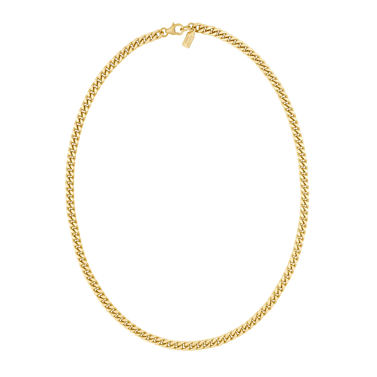 Leo Necklace | Electric Picks Jewelry