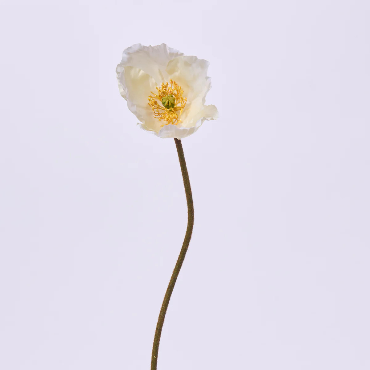 Cream Poppy Bloom Single Stem Faux Floral Spray - 23" | Darby Creek Trading