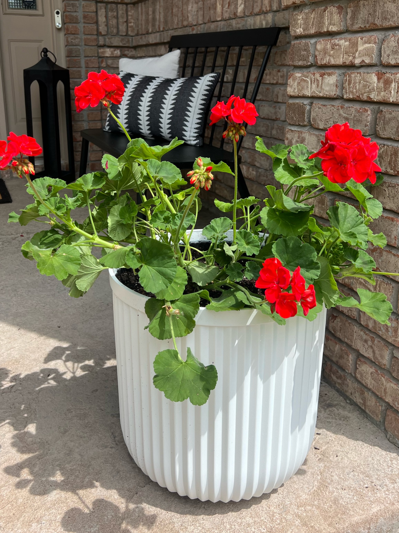 Loving these planters from Walmart! 
Flower Pots, outdoor bench, porch decor, front porch

#LTKfindsunder50 #LTKSeasonal #LTKhome