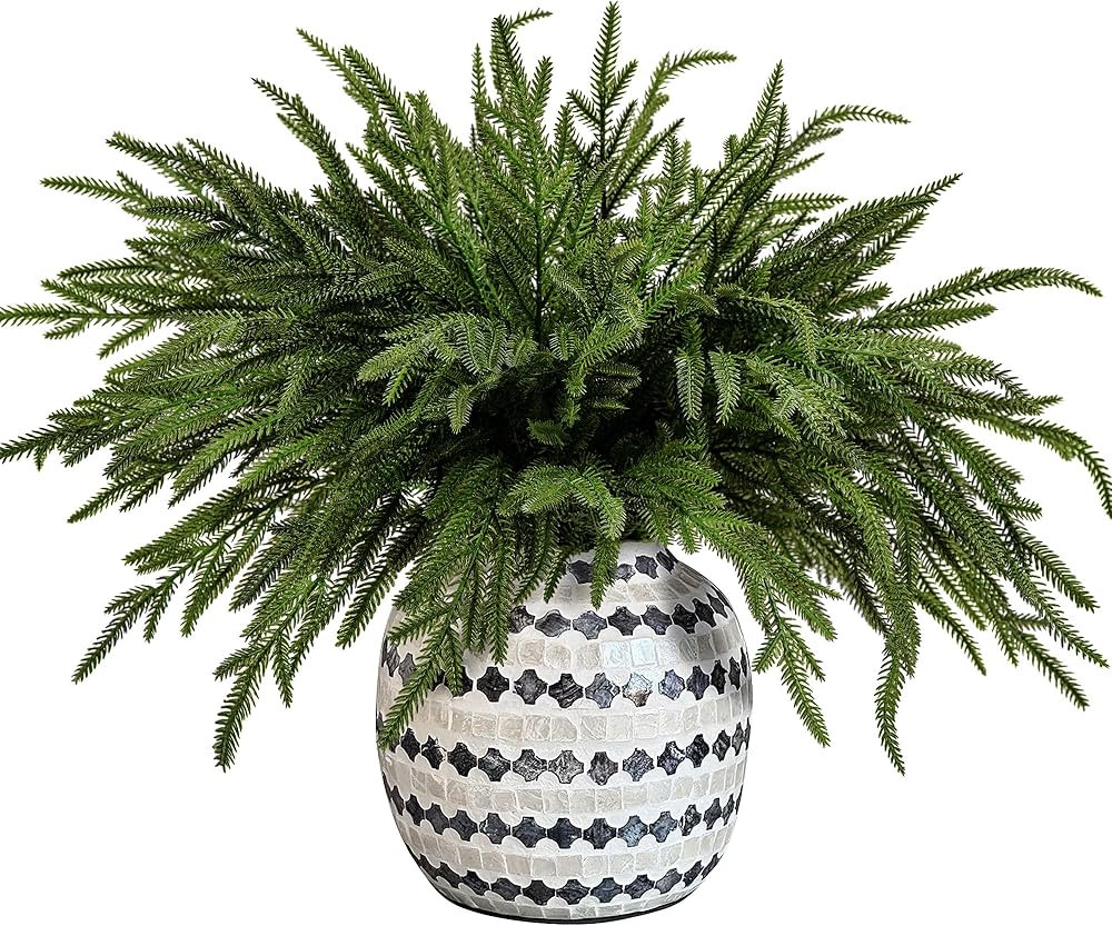 15 Pcs Christmas Norfolk Pine Branches, 19" Extra Length Fake Greenery Norfolk Pine Stems Sprigs,... | Amazon (US)