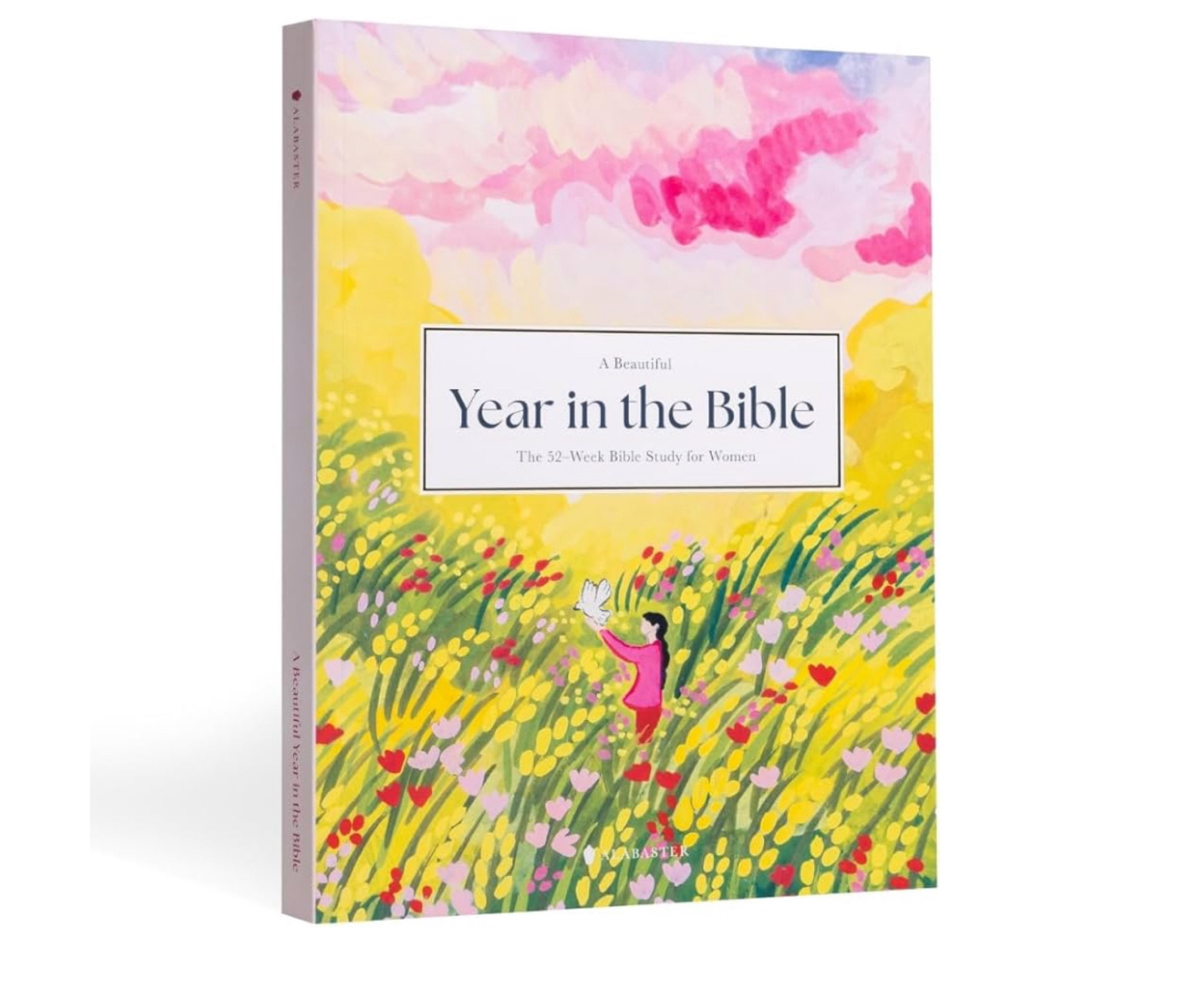 Newest Bible study 💗  first two we did are linked also !