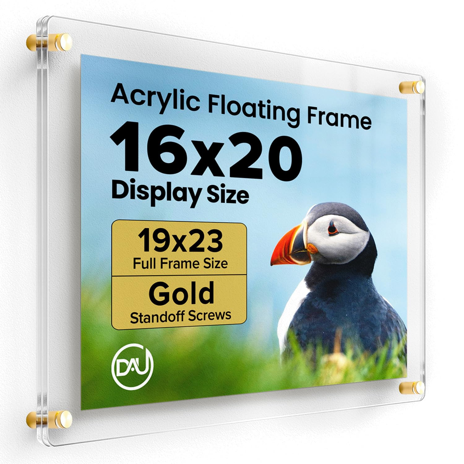 Acrylic Floating Frames Gold Standoffs(single) 16" x 20" Clear Acrylic Frames for Wall Mount Floa... | Amazon (US)