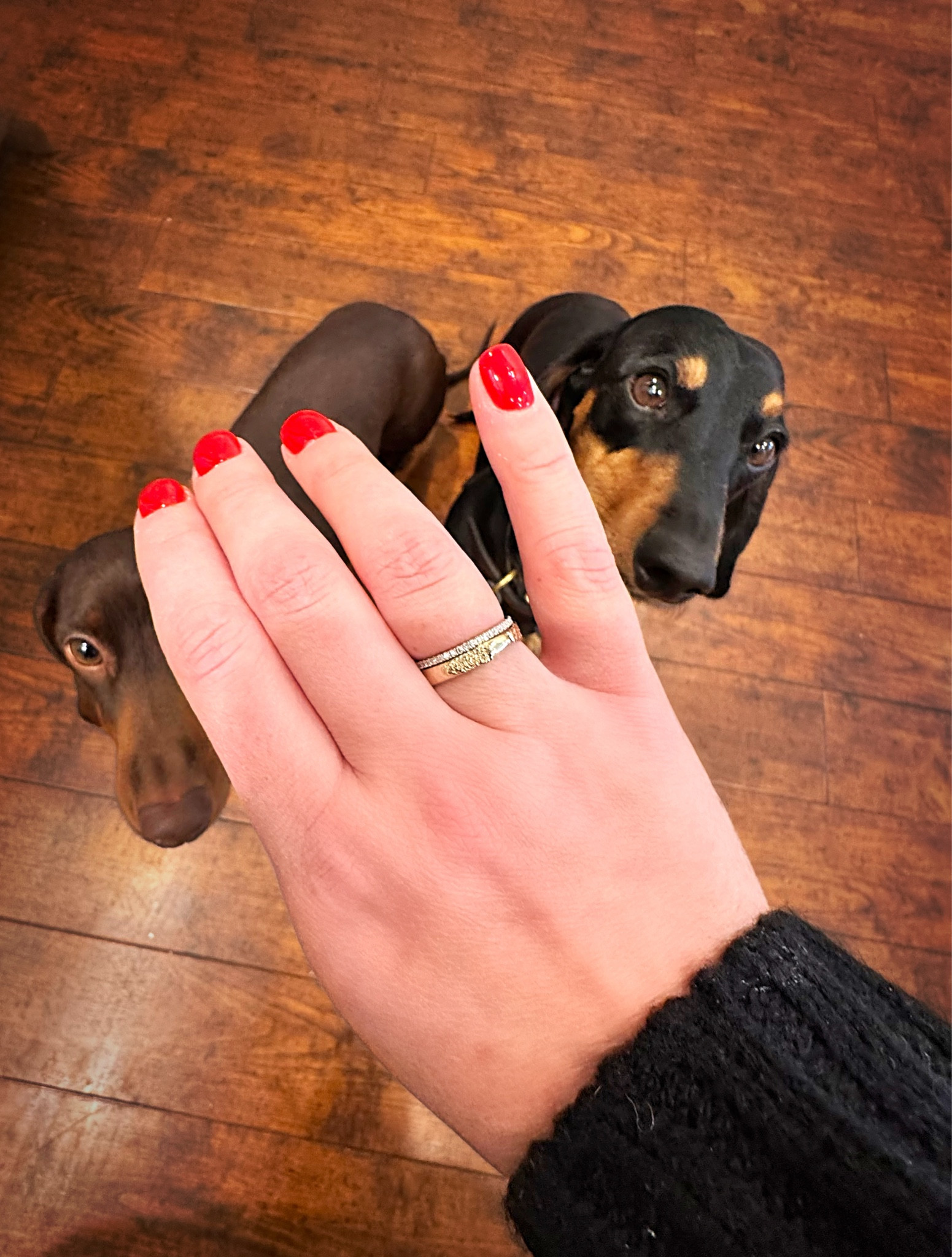 Guys, this has to be the cutest gift ever! My hubby got me the gold ring that has both dog noses imprinted on it. I’m seriously obsessed. You can do finger prints also. I think this is such a sentimental cute gift idea! It’s perfect for stacking as seen here for a little Ring Concierge pave band I already had. Check them out!! 

Gift gift guide gifts for her birthday holiday presents rings jewelry 

#LTKGiftGuide
