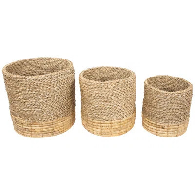 Set Of 3 Textured Woven Round Seagrass Baskets 13.75 | Wayfair North America