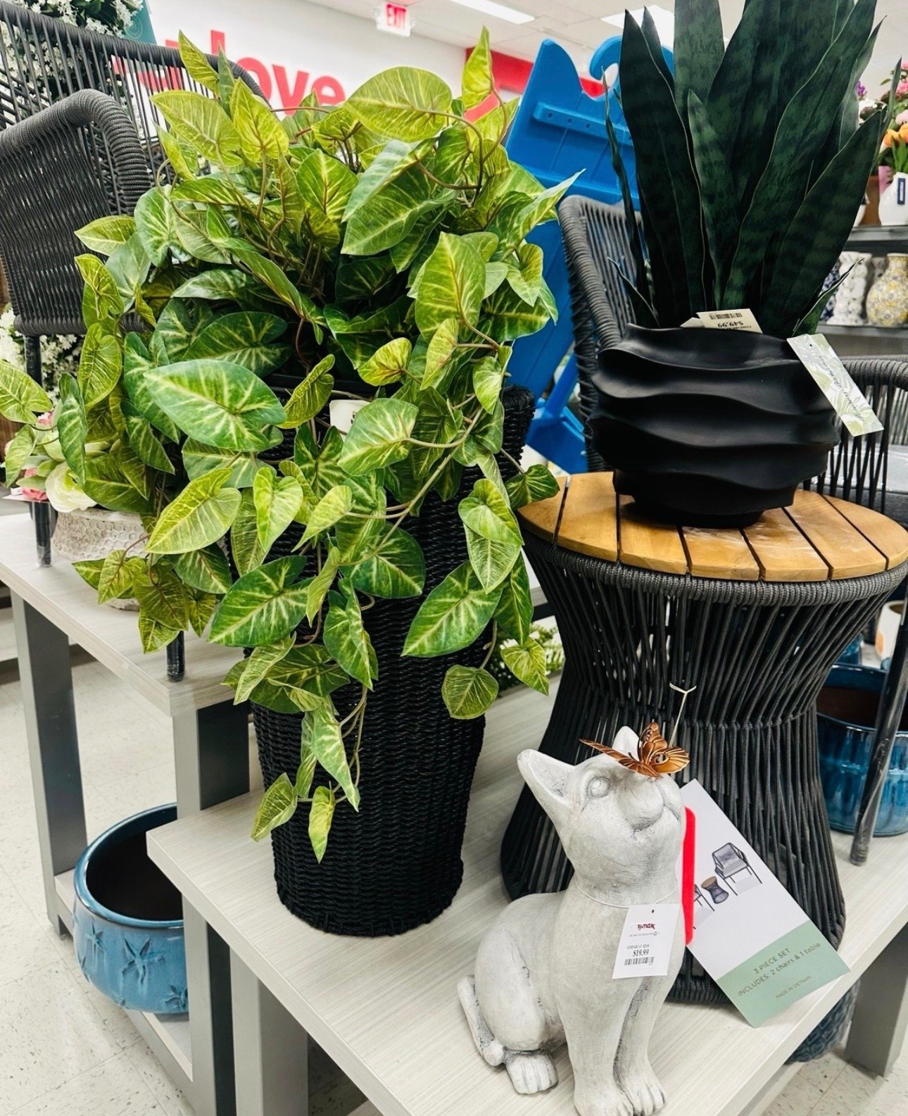 Adding greenery = instant home upgrade 🌿✨
TJ Maxx always has the BEST affordable decor pieces for that cozy aesthetic

#LTKHome