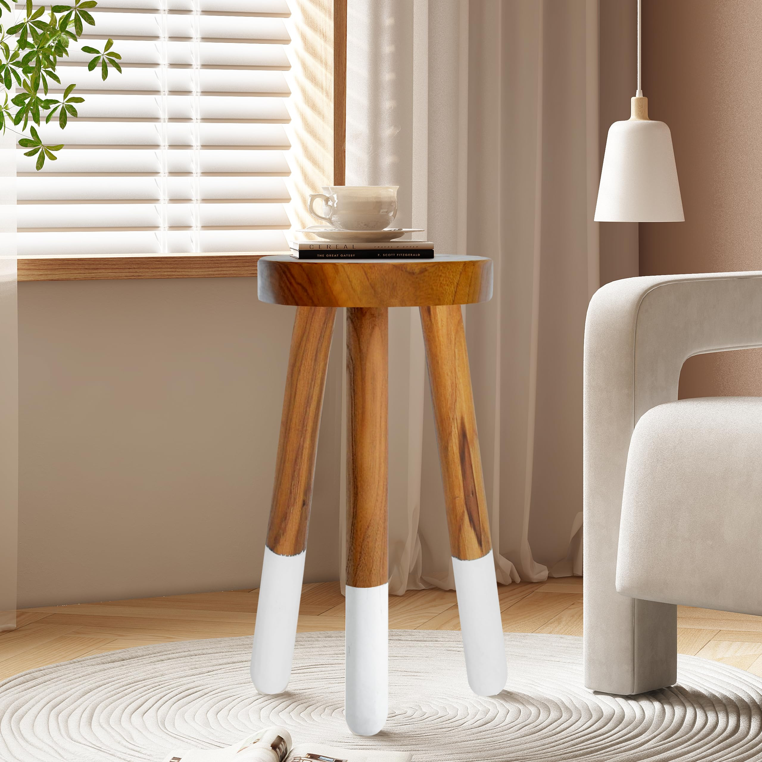 Teak 11.8" Round Dip Dyed Teak Stool | Wood Accent Side Table | Wood Plant Stand (20" Tall White) | Amazon (US)