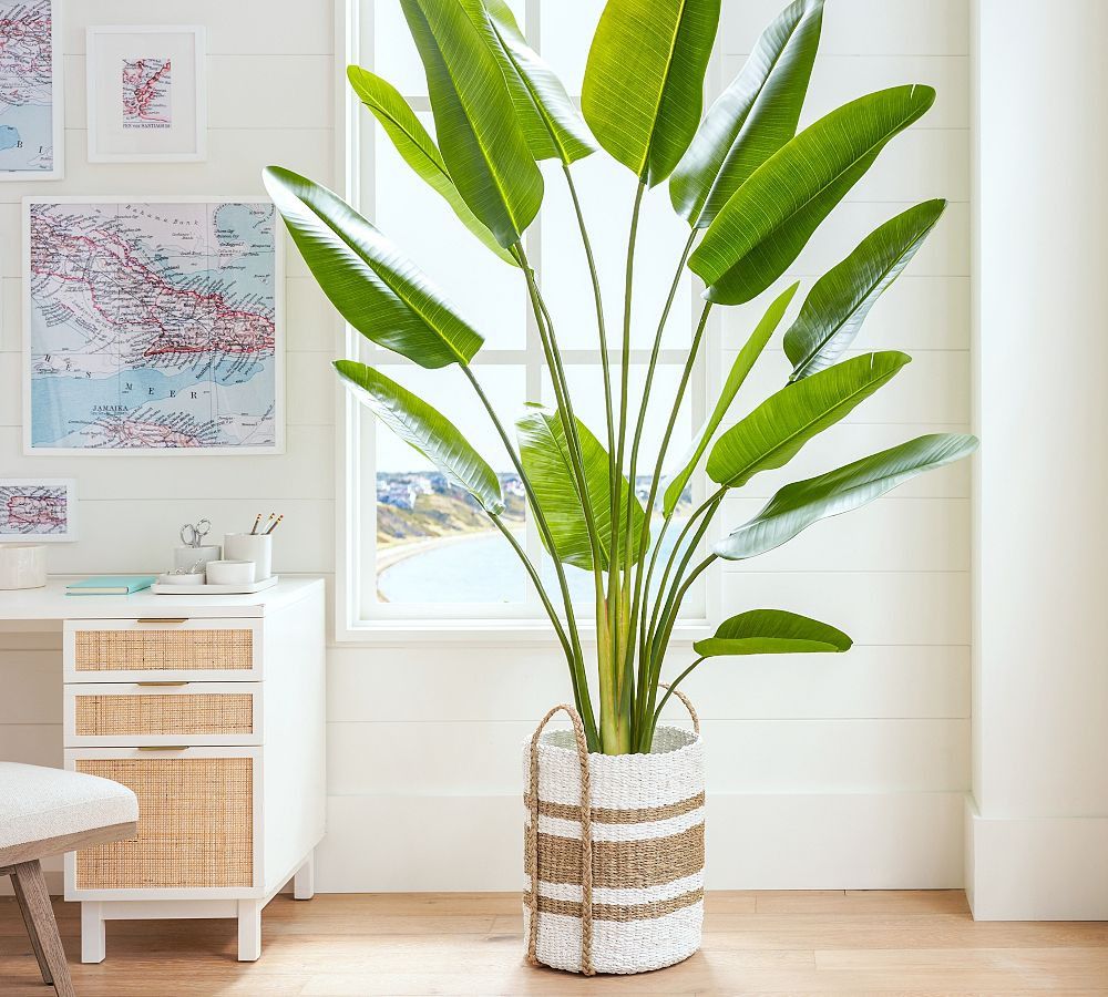 Faux Potted Banana Palm Tree | Pottery Barn (US)