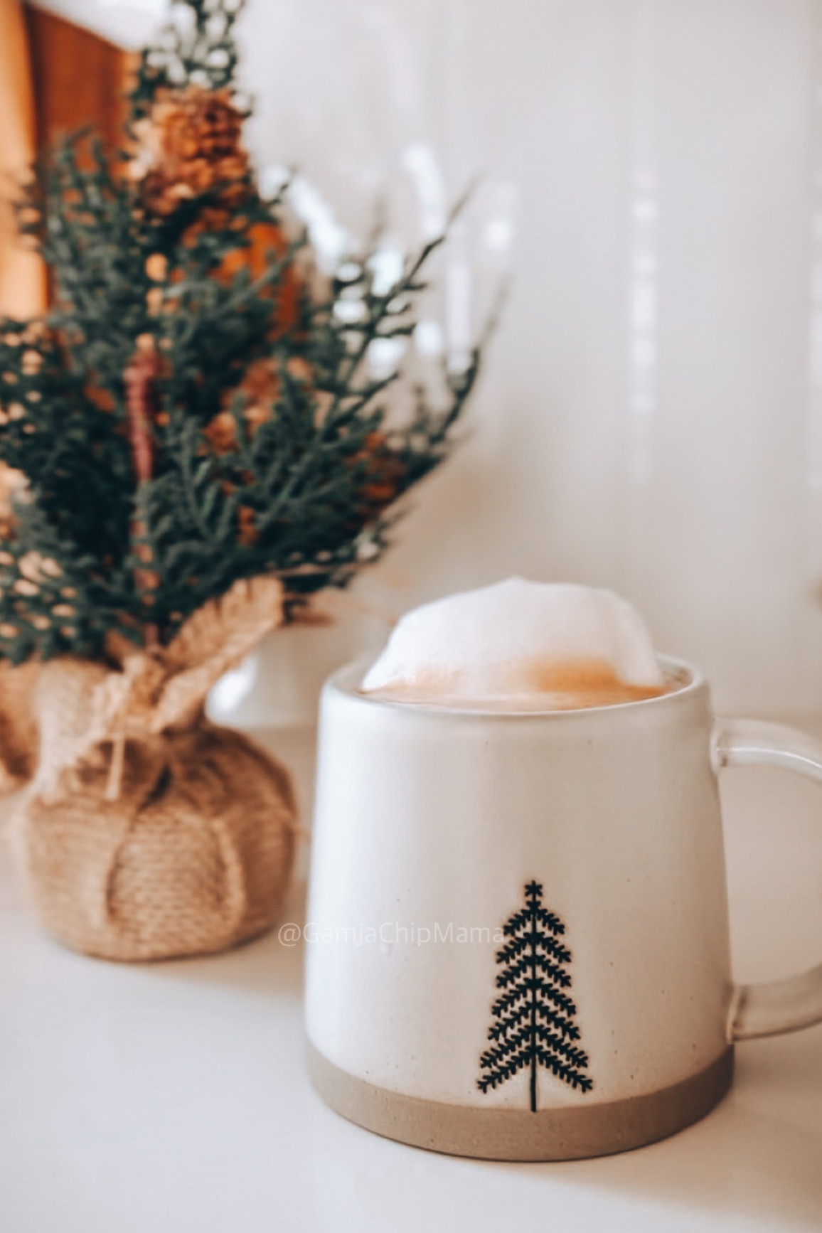 #LTKGiftGuide #LTKfamily #LTKHoliday