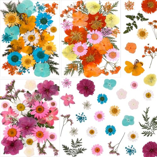 LUCISKY 66Pcs Dried Pressed Flowers for Resin Molds, Assorted Real Natural Flowers Leaves Petals for DIY Crafts, Jewelry, Nail, Candle, Soap Making | Amazon (US)