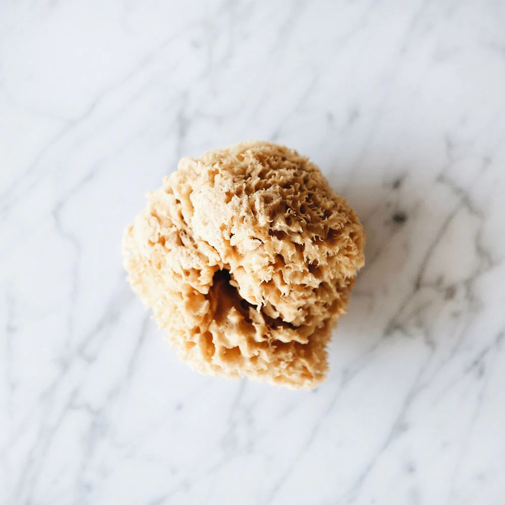 Natural Sea Sponge | Roan Iris