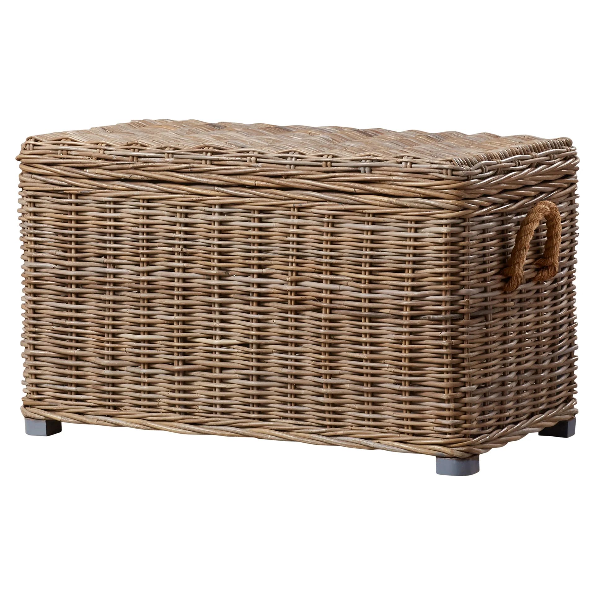 Whyte Wicker Trunk | Wayfair North America