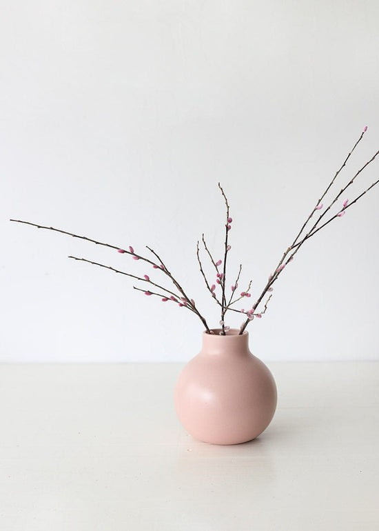Preserved Pink Pussy Willow Branches - 20-28 | Afloral (US)