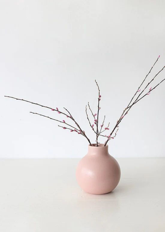 Preserved Pink Pussy Willow Branches - 20-28 | Afloral (US)