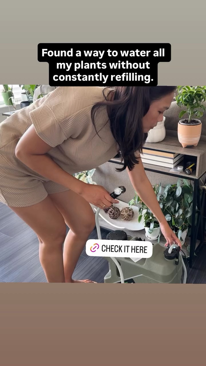 Found a way to water all my plants without constantly refilling.

#LTKdayinmylife #LTKHome