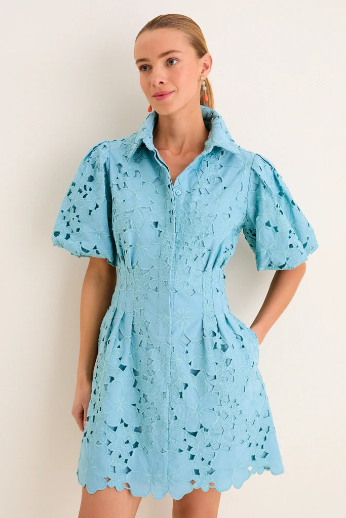 Cameo Blue Eyelet Mini Delaney Dress | Tuckernuck (US)