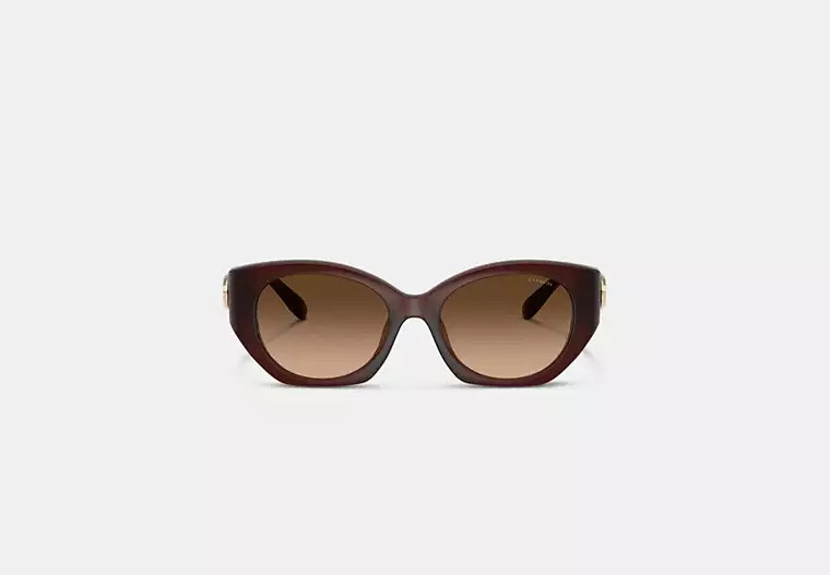 Maxi Sculpted C Oval Sunglasses | Eyewear | Coach | COACH® | Coach (US)