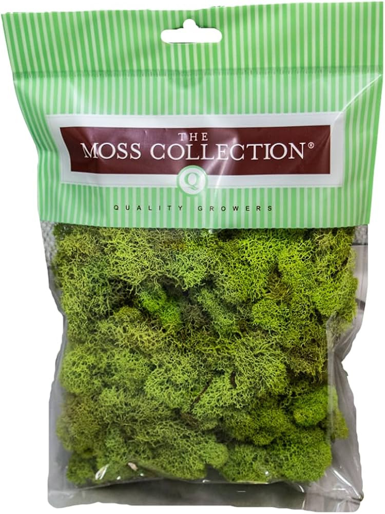 Preserved Reindeer Moss - Moss for Crafts, Home Decor, Art, Design & DIY Projects - Non-Toxic - U... | Amazon (US)