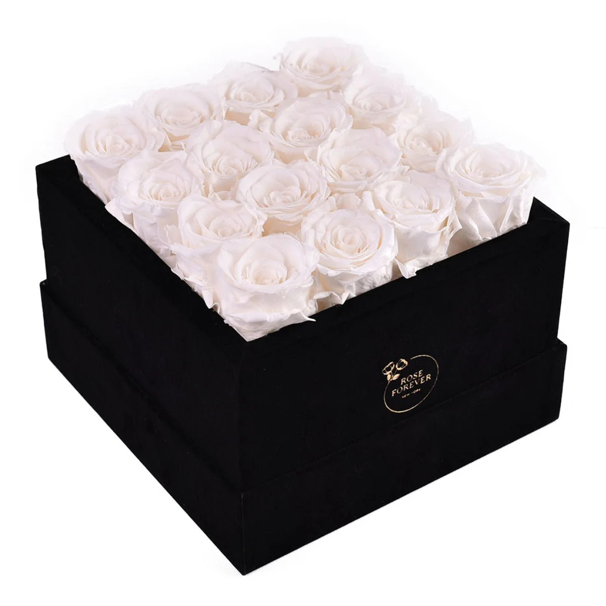 16 White Roses - Black Square Velvet Box | Rose Forever 