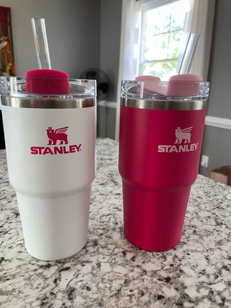 The cutest color combo I ever did see! Snag these Stanley Tumblers before they sell out quick! #TargetFind #StanleyTumblers